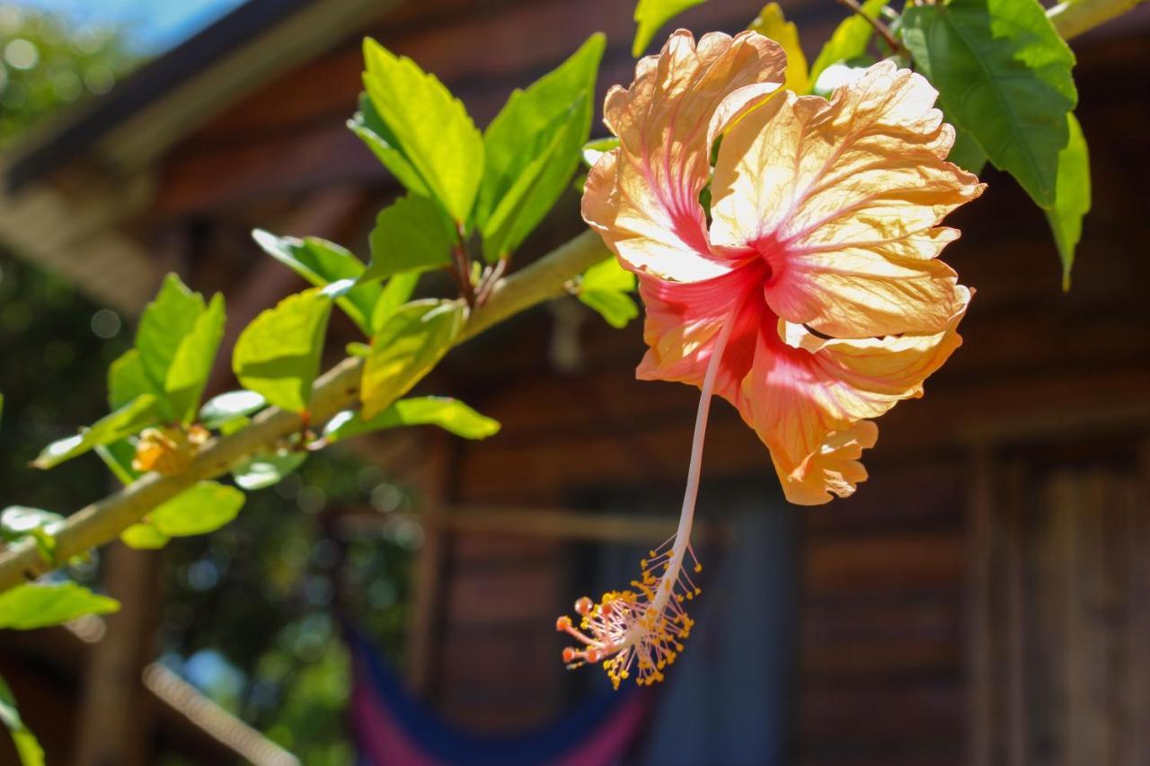 The Lighthouse Retreat, Little Corn Island, Nicaragua Hotel Exterior photo
